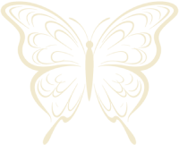 vector